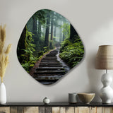 USA Muir Woods National Monument I - Asymmetric Metal Wall Art