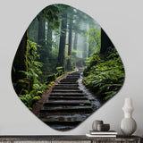 USA Muir Woods National Monument I - Asymmetric Metal Wall Art