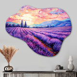 Vangogh Lavender Fields II - Asymmetric Metal Wall Art