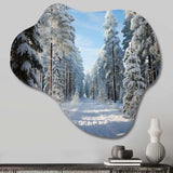 Winter Snowy Evergreen III - Asymmetric Metal Wall Art