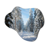 Winter Snowy Evergreen III - Asymmetric Metal Wall Art