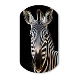 Striking Zebra Patterns IV - Asymmetric Metal Wall Art