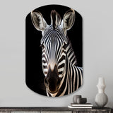 Striking Zebra Patterns IV - Asymmetric Metal Wall Art