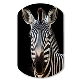 Striking Zebra Patterns IV - Asymmetric Metal Wall Art