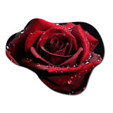 Red Rose with Raindrops II - Asymmetric Metal Wall Art