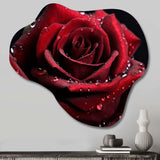 Red Rose with Raindrops II - Asymmetric Metal Wall Art