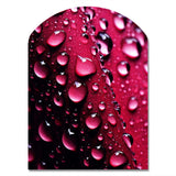 Red Rose with Raindrops XVIII - Asymmetric Metal Wall Art