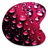 Red Rose with Raindrops XVIII - Asymmetric Metal Wall Art