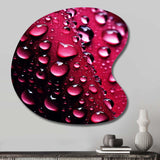 Red Rose with Raindrops XVIII - Asymmetric Metal Wall Art