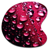 Red Rose with Raindrops XVIII - Asymmetric Metal Wall Art