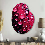 Red Rose with Raindrops XVIII - Asymmetric Metal Wall Art