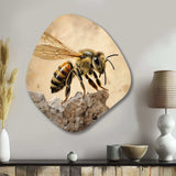 Floral Bee II - Asymmetric Metal Wall Art