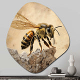 Floral Bee II - Asymmetric Metal Wall Art