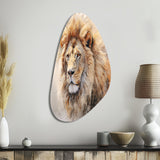 Fierce Lion III - Asymmetric Metal Wall Art