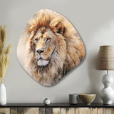 Fierce Lion III - Asymmetric Metal Wall Art