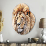 Fierce Lion III - Asymmetric Metal Wall Art