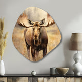 Moose Serenity I - Asymmetric Metal Wall Art