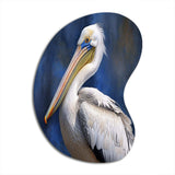 Majestic Pelican Seabird V - Asymmetric Metal Wall Art