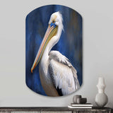 Majestic Pelican Seabird V - Asymmetric Metal Wall Art