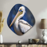 Majestic Pelican Seabird V - Asymmetric Metal Wall Art