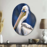 Majestic Pelican Seabird V - Asymmetric Metal Wall Art