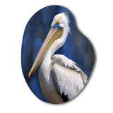 Majestic Pelican Seabird V - Asymmetric Metal Wall Art