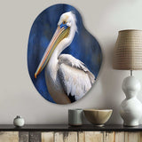 Majestic Pelican Seabird V - Asymmetric Metal Wall Art