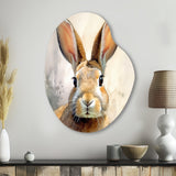 Sweet Rabbit II - Asymmetric Metal Wall Art