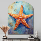 Spinny Starfish II - Asymmetric Metal Wall Art