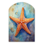 Spinny Starfish II - Asymmetric Metal Wall Art