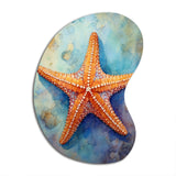 Spinny Starfish II - Asymmetric Metal Wall Art