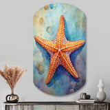 Spinny Starfish II - Asymmetric Metal Wall Art