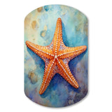 Spinny Starfish II - Asymmetric Metal Wall Art