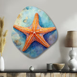 Spinny Starfish II - Asymmetric Metal Wall Art