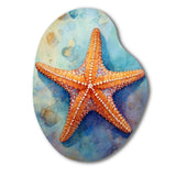 Spinny Starfish II - Asymmetric Metal Wall Art