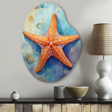 Spinny Starfish II - Asymmetric Metal Wall Art