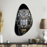 Fierce White Tiger II - Asymmetric Metal Wall Art