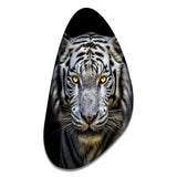 Fierce White Tiger II - Asymmetric Metal Wall Art