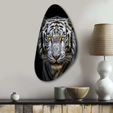 Fierce White Tiger II - Asymmetric Metal Wall Art