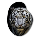 Fierce White Tiger II - Asymmetric Metal Wall Art