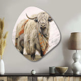 Wild Yak V - Asymmetric Metal Wall Art