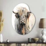 Wild Yak VI - Asymmetric Metal Wall Art