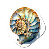 Seashell Symphony I - Asymmetric Metal Wall Art