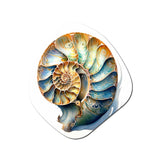 Seashell Symphony I - Asymmetric Metal Wall Art