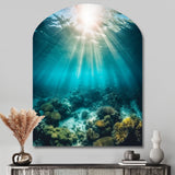 Underwater Coral IV - Asymmetric Metal Wall Art