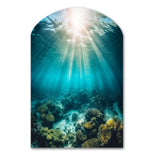 Underwater Coral IV - Asymmetric Metal Wall Art