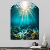 Underwater Coral IV - Asymmetric Metal Wall Art