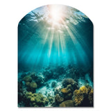 Underwater Coral IV - Asymmetric Metal Wall Art