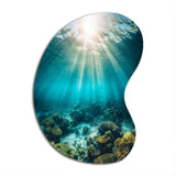 Underwater Coral IV - Asymmetric Metal Wall Art