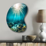 Underwater Coral IV - Asymmetric Metal Wall Art